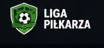Liga Piłkarza